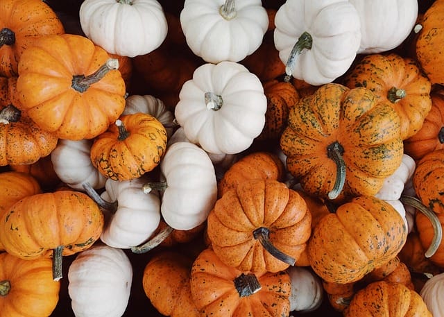 Mini pumpkins