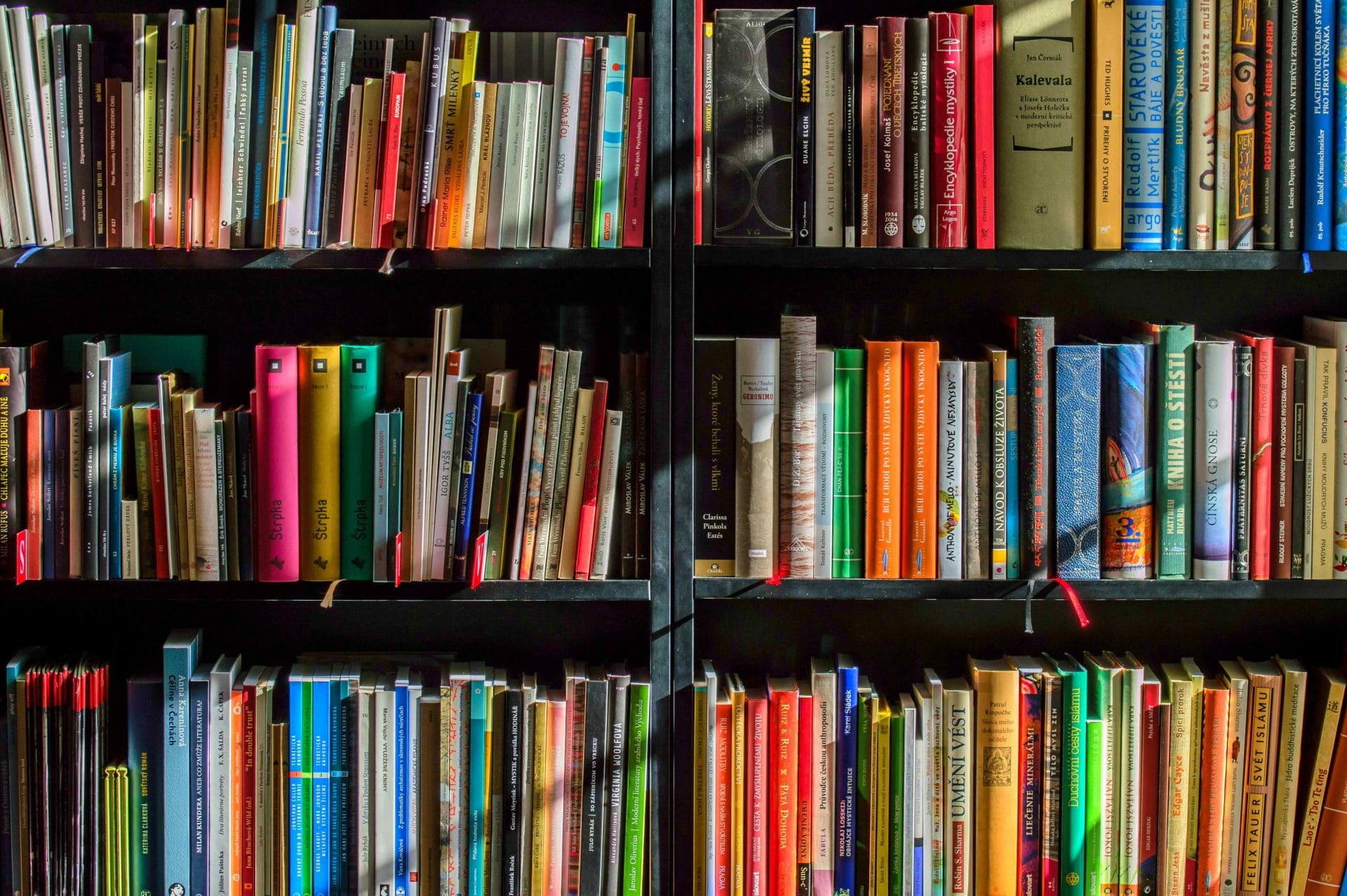 Library book shelves