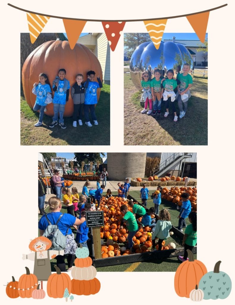 1st grade classes at Goebberts Farm in front of pumpkin sculptures and picking pumpkins.