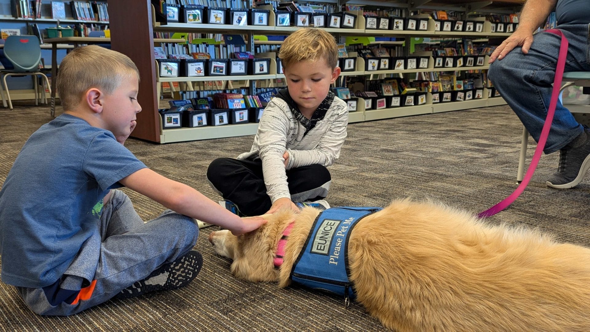 Boys reading to dogs