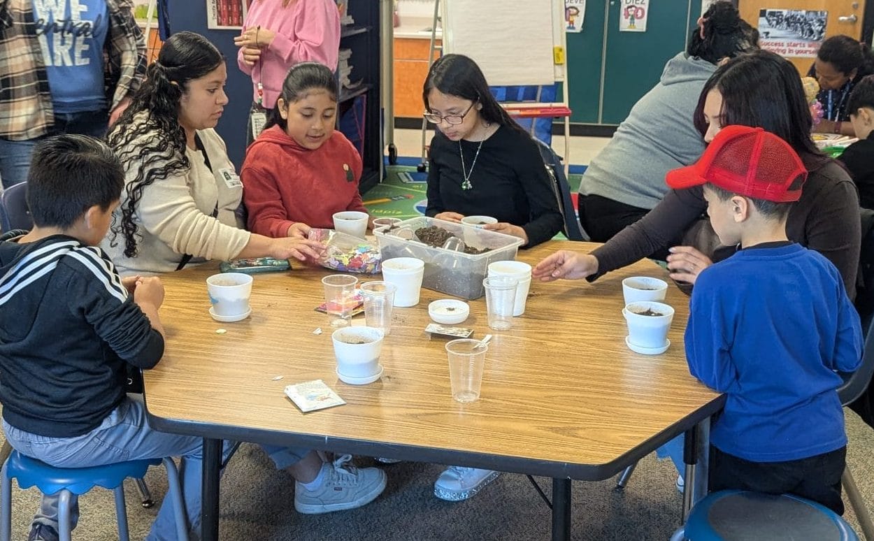 Friday Focus - May 8, 2026